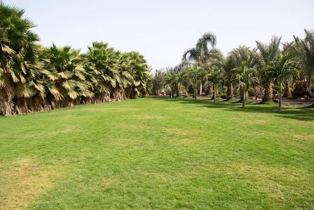 Viveiro Botanische Tuin en Dierentuin
